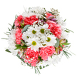 This radiant bouquet, expertly gathered by a florist in the heart of Kingsbury, is a tribute to the uplifting light of spring and the gentle optimism it brings. At the heart, spirited white daisies with sunny green centres shine brightly, interlaced with generous coral-pink carnations whose ruffled petals add warmth and volume reminiscent of early June afternoons. Wispy gypsophila floats throughout, whispering a sense of calm and hope, while slender alstroemeria buds and eucalyptus leaves bring subtle fragrance and harmonious depth. Each element- from soft greens to the delicate brush of purple on emerging blossoms-has been chosen not just for beauty but for the comforting emotions they convey. The bouquet's circular form invites the eye to wander from flower to flower, echoing the sense of community and connectivity found along Church Lane or Roe Green. Whether sent to celebrate a birthday, mark a new chapter, or offer gentle encouragement, this arrangement brightens every setting, embodying the spirit of Kingsbury's vibrant neighbourhood and the skilled hands behind every fresh delivery.